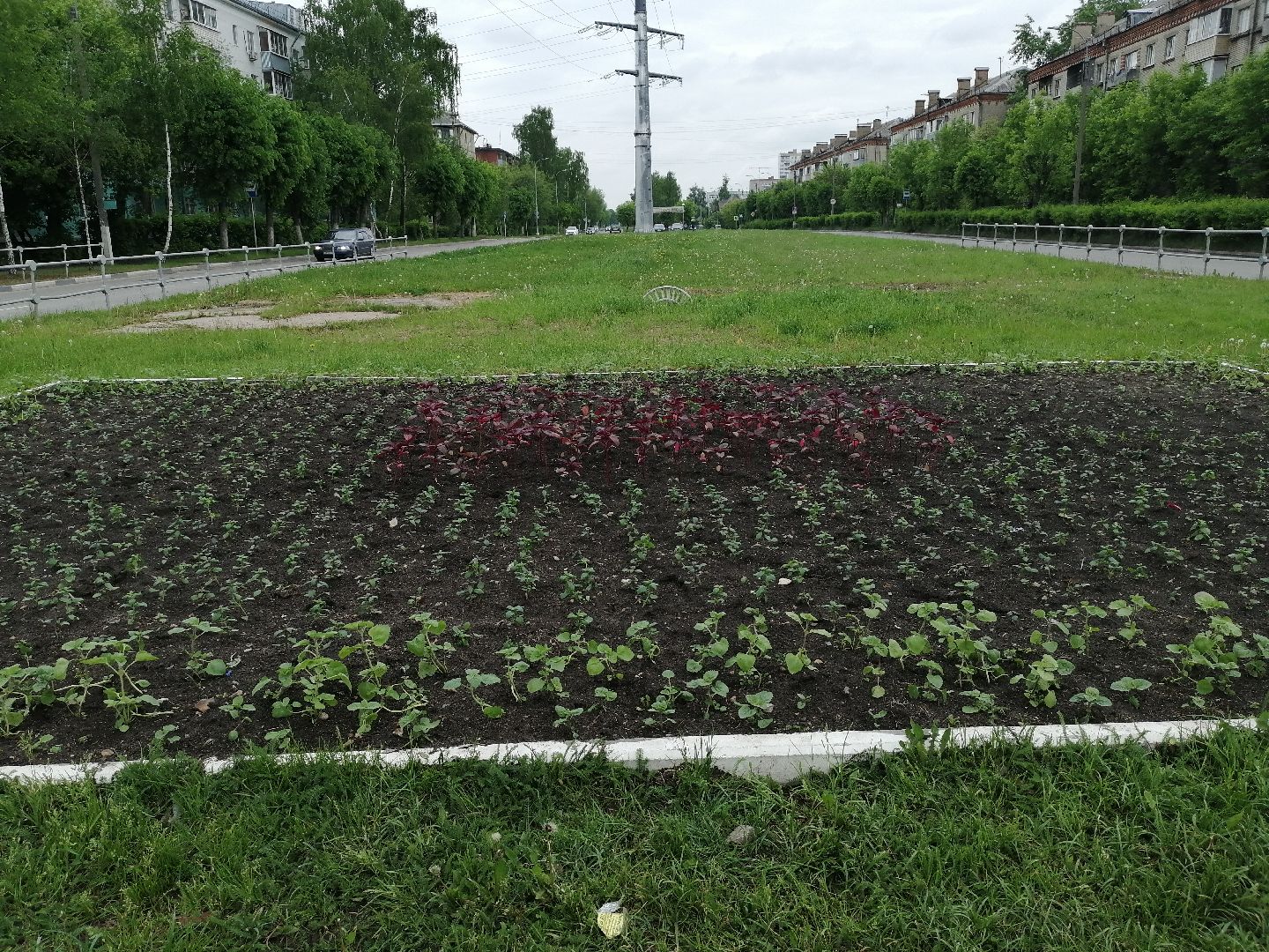 благоустройство, серпухов, клумбы, цветы, тюльпаны,