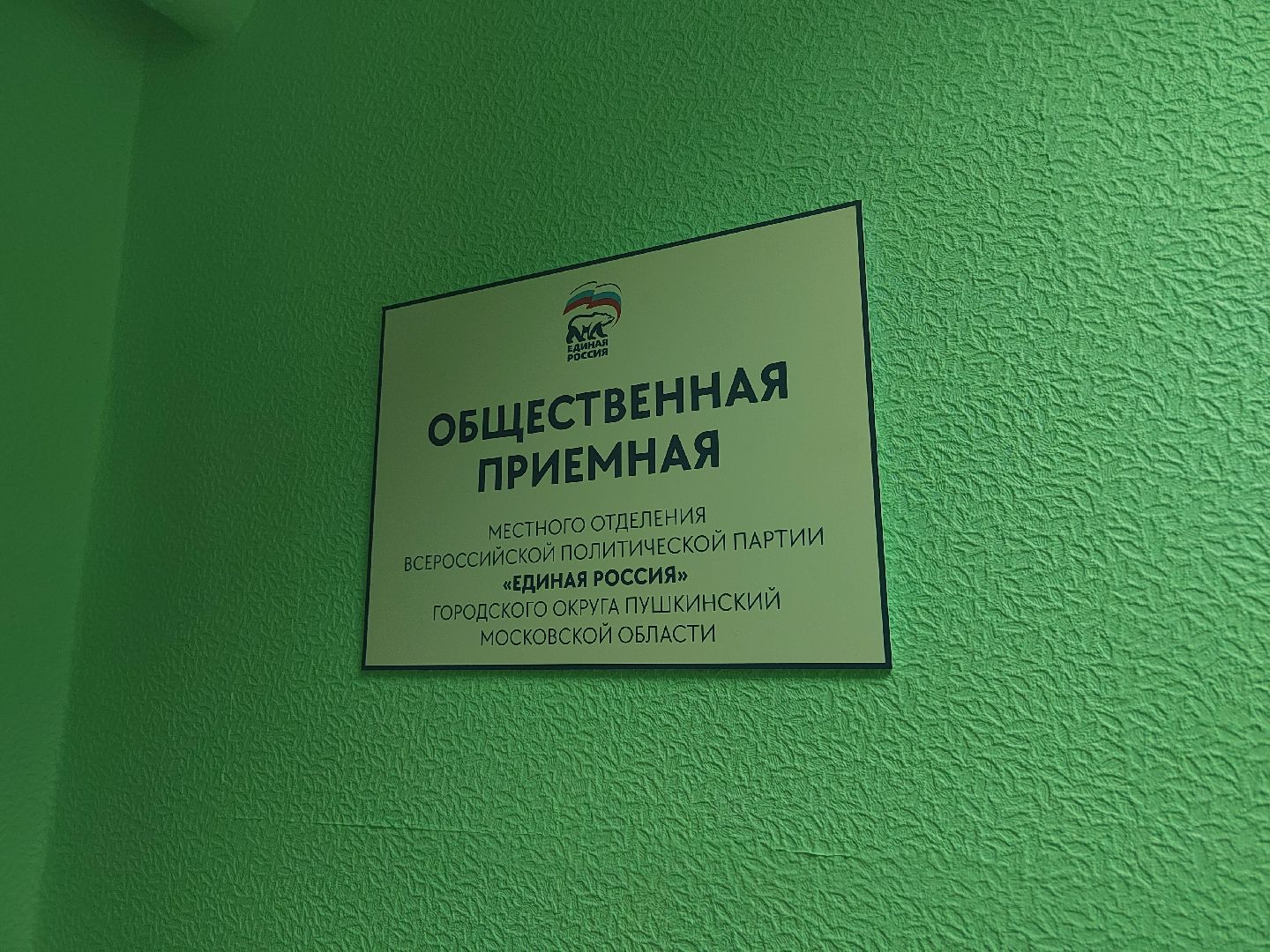 Пушкино, Молодая Гвардия, Единая Россия, волонтеры, молодежь Подмосковья, наше Подмосковье, волонтеры Подмосковья, городской округ Пушкинский
