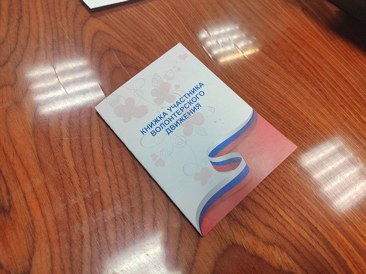 Пушкино, Молодая Гвардия, Единая Россия, волонтеры, молодежь Подмосковья, наше Подмосковье, волонтеры Подмосковья, городской округ Пушкинский