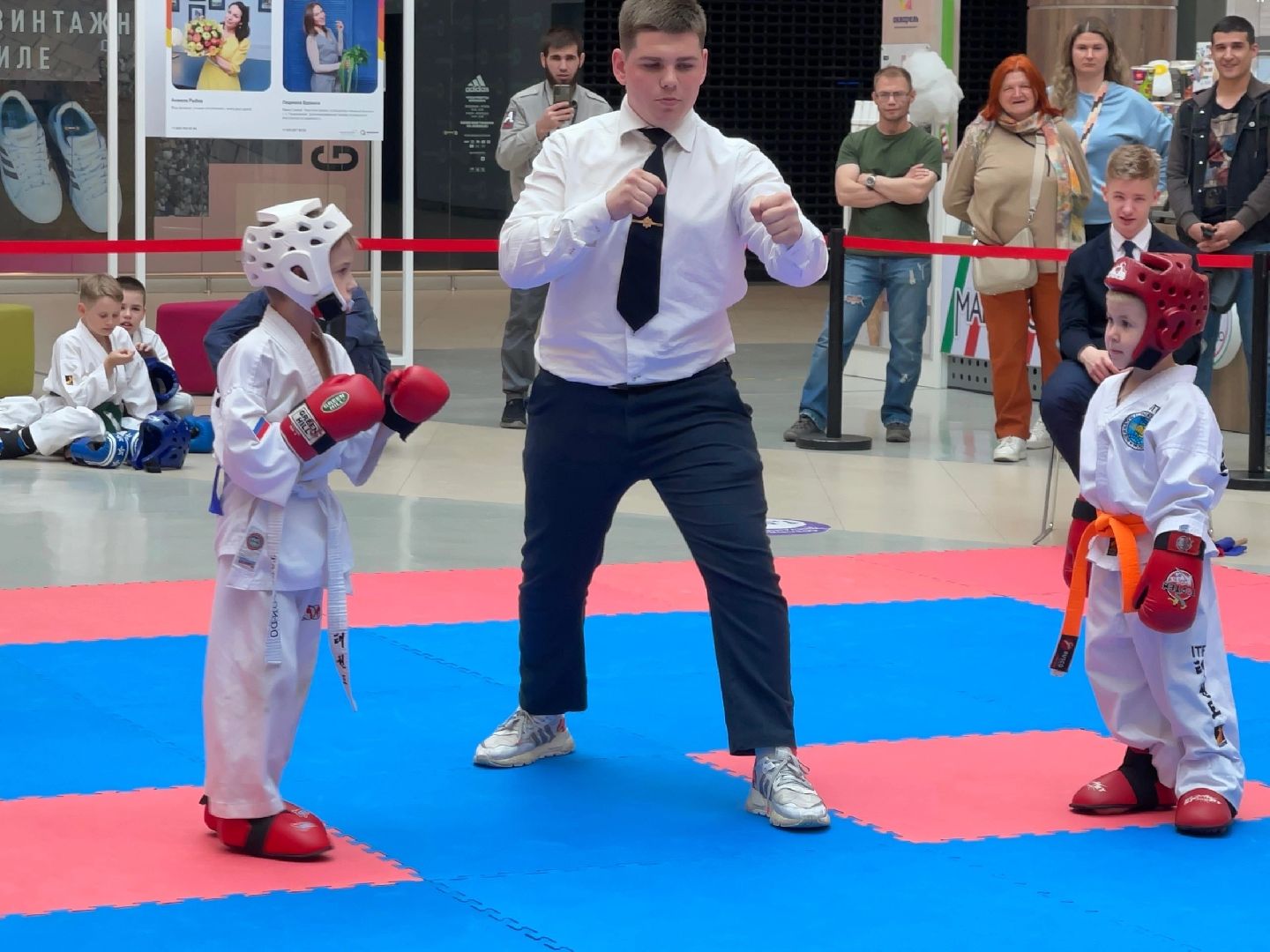 Подмосковье, Городской округ Пушкинский, спорт, тхэквондо