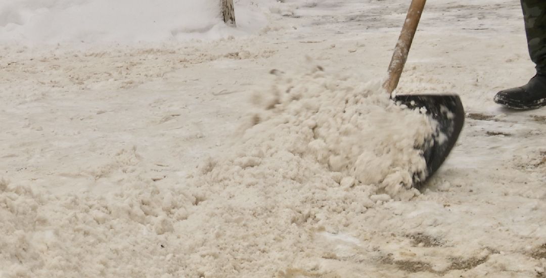 Клин, общество