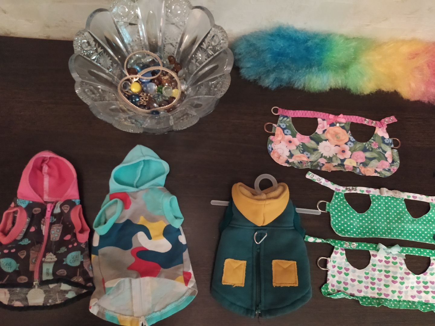 Сурикаты, питомцы, стая, хищники