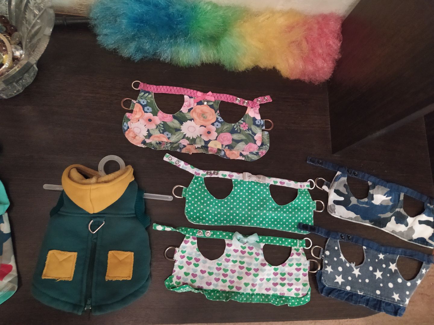 Сурикаты, питомцы, стая, хищники