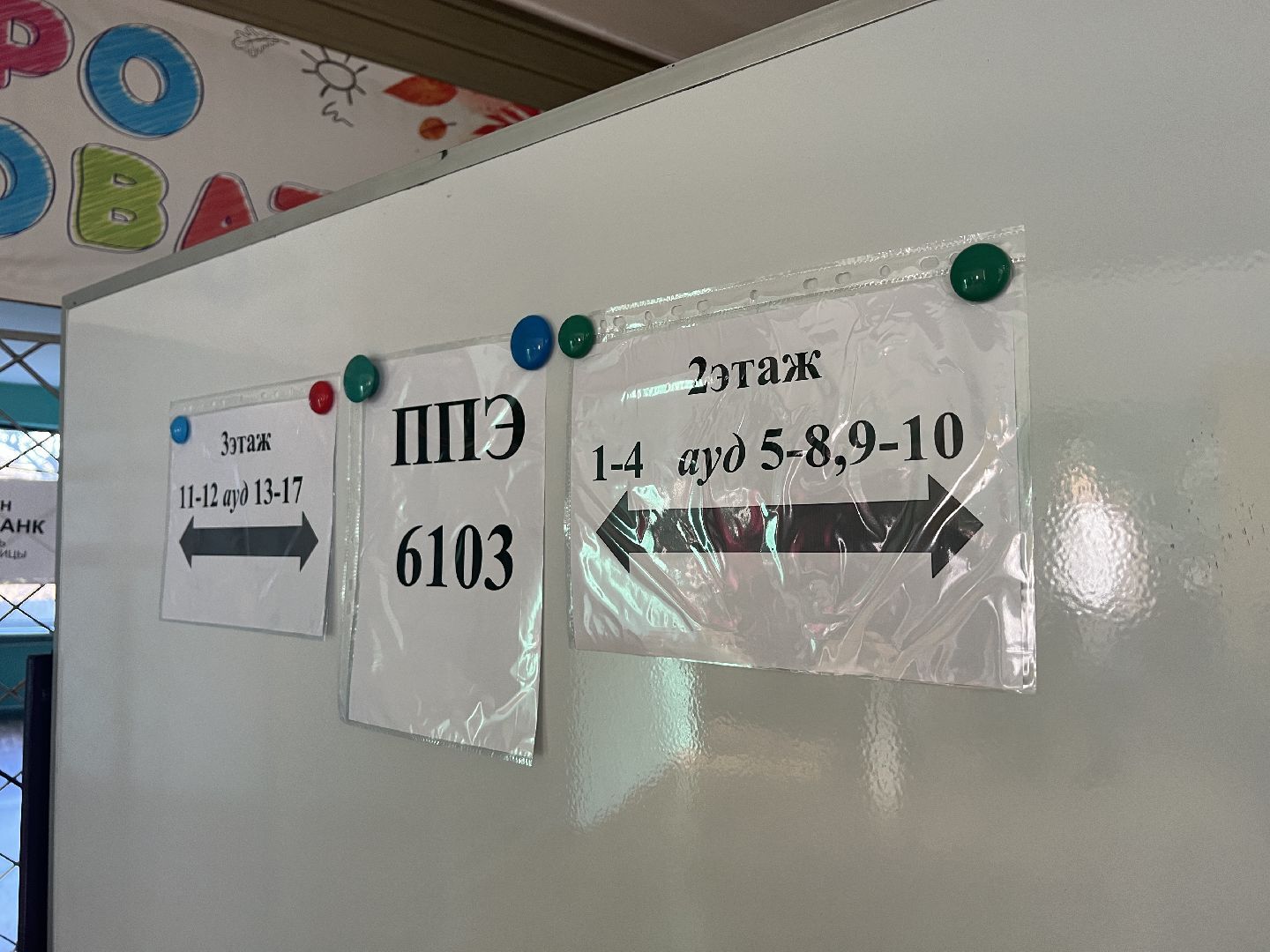 Химки, образование, экзамены, школа, ЕГЭ, выпускники