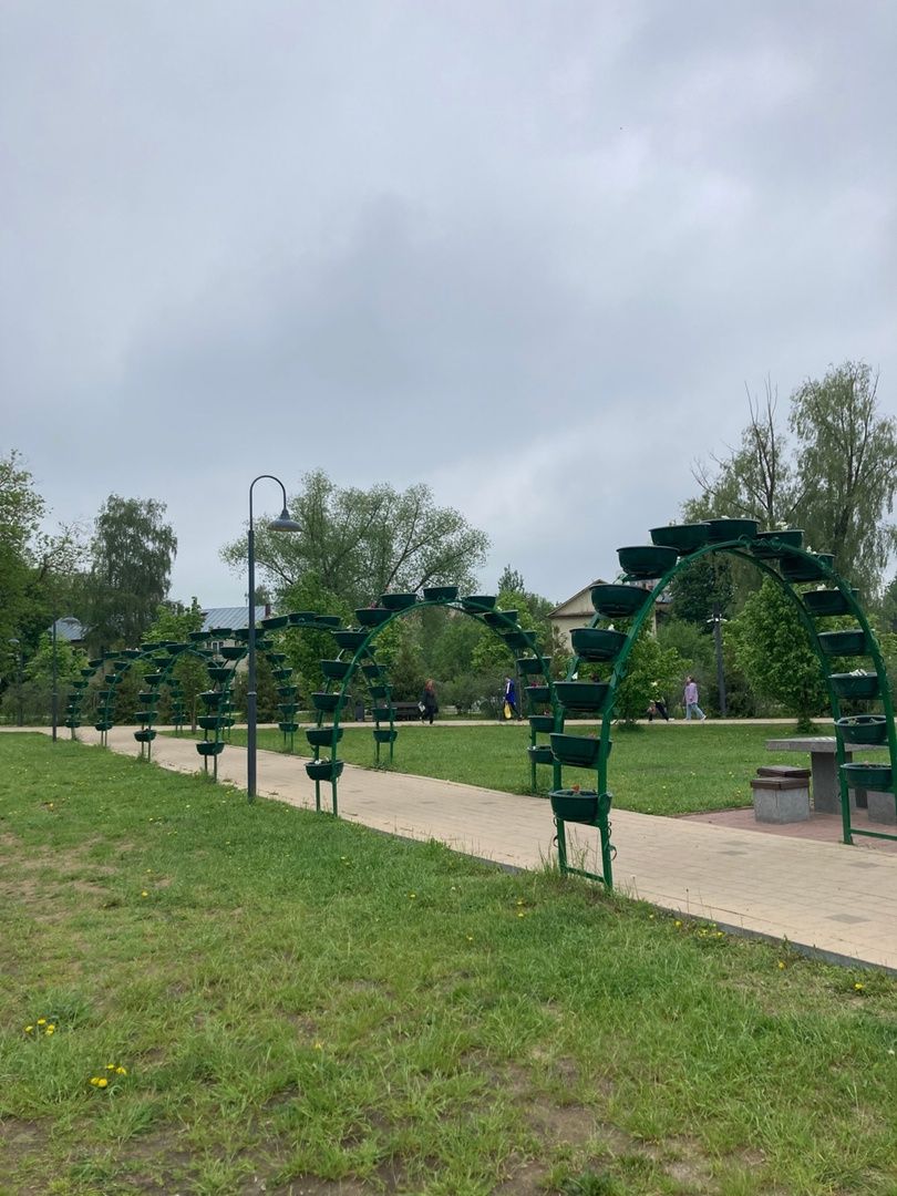 Солнечногорск, фестиваль, культура, сирень, парк