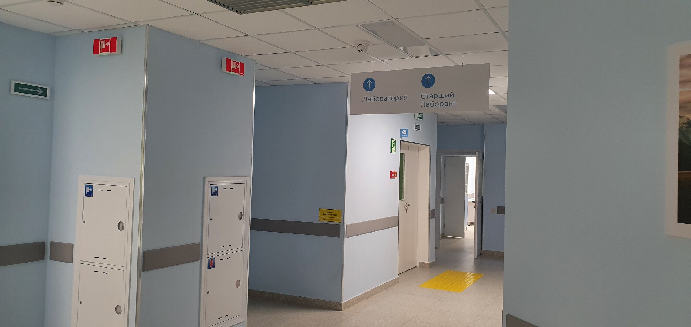 ДЦГБ, лаборатория, Домодедово