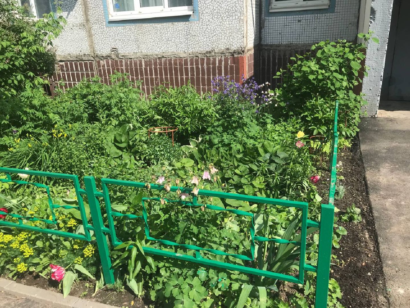 Коломна, Благоустройство, Заборы