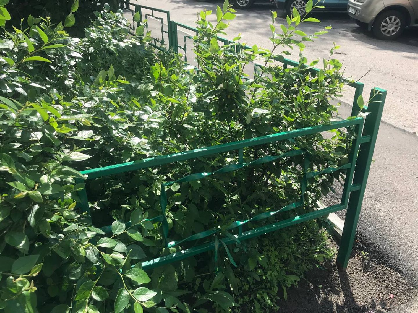 Коломна, Благоустройство, Заборы