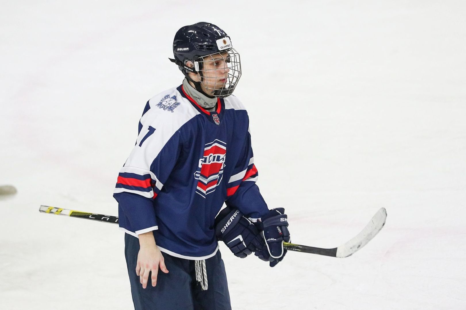 Хоккей, молодежная хоккейная лига, кубок Харламова, Ногинск, Богородский городской округ