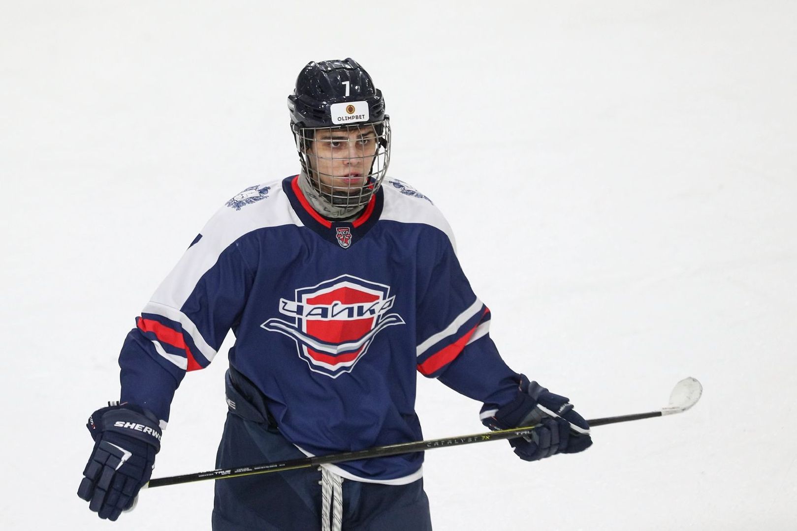Хоккей, молодежная хоккейная лига, кубок Харламова, Ногинск, Богородский городской округ