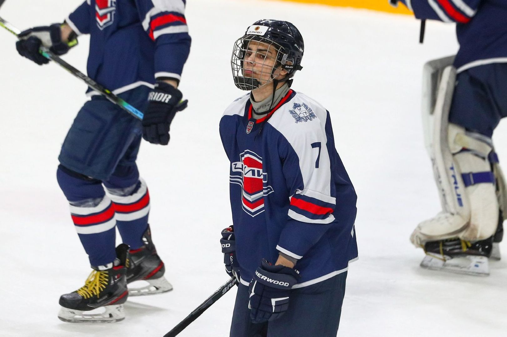 Хоккей, молодежная хоккейная лига, кубок Харламова, Ногинск, Богородский городской округ