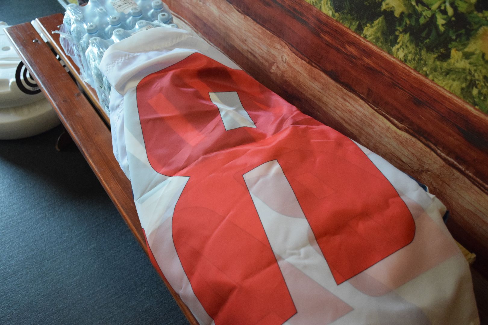 Павловский Посад, городской округ Павловский Посад, грант, общество, история