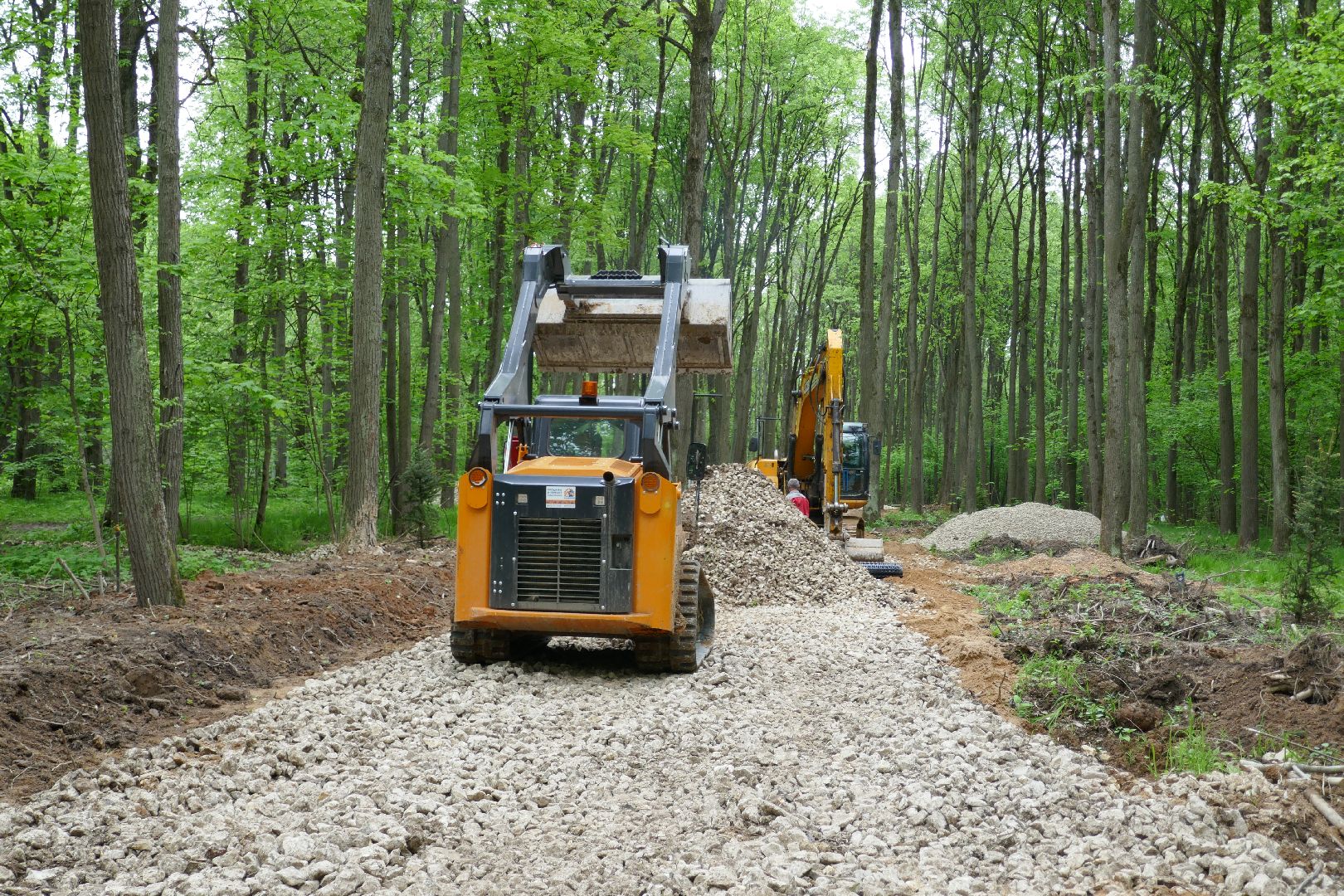 Подольск, лыжи, спорт, ролики, Дубровицы