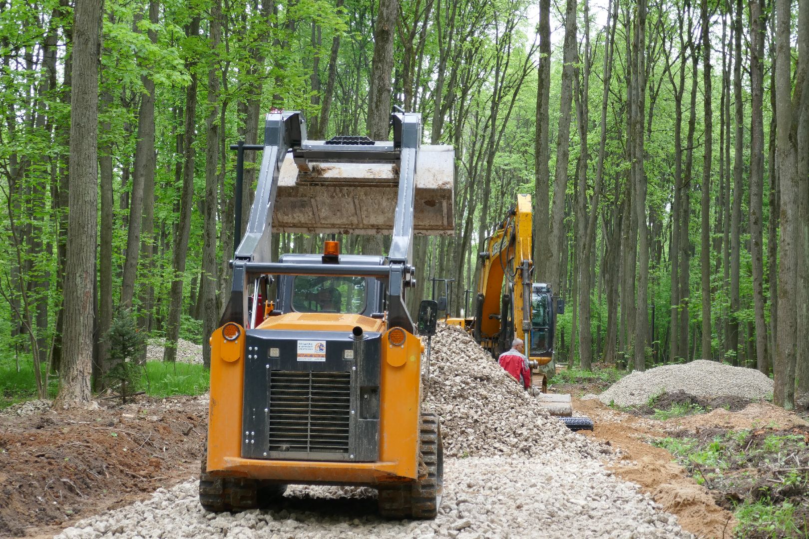 Подольск, лыжи, спорт, ролики, Дубровицы