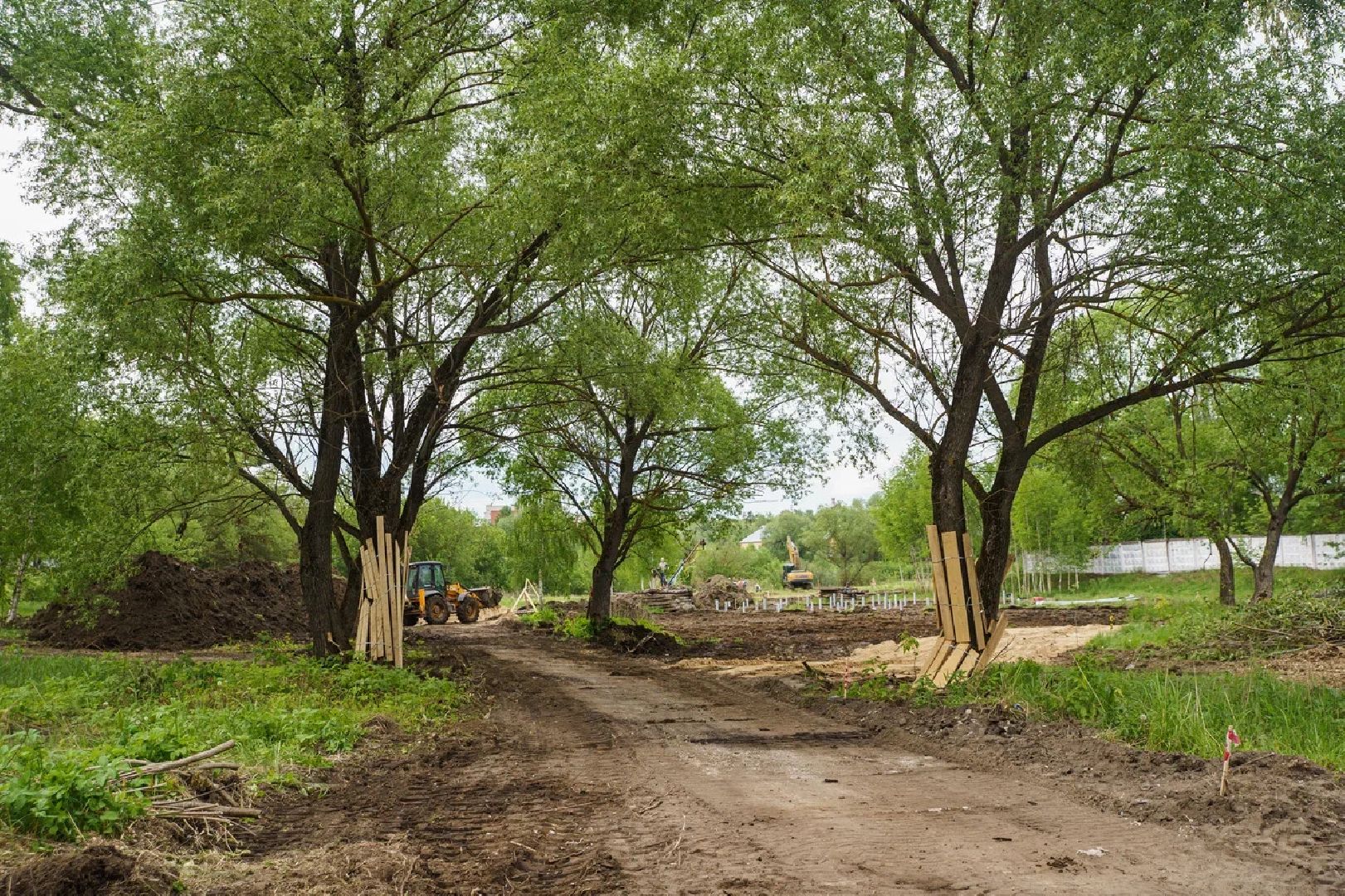 Благоустройство, губернатор, парк, эко-парк, благоустройство, Орехово-Зуево, Куровское, Заголовацкий