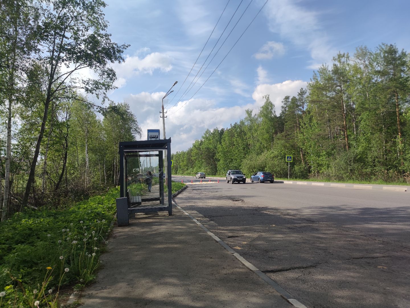 Дорожная разметка, обновление, пешеходный переход, Дубна