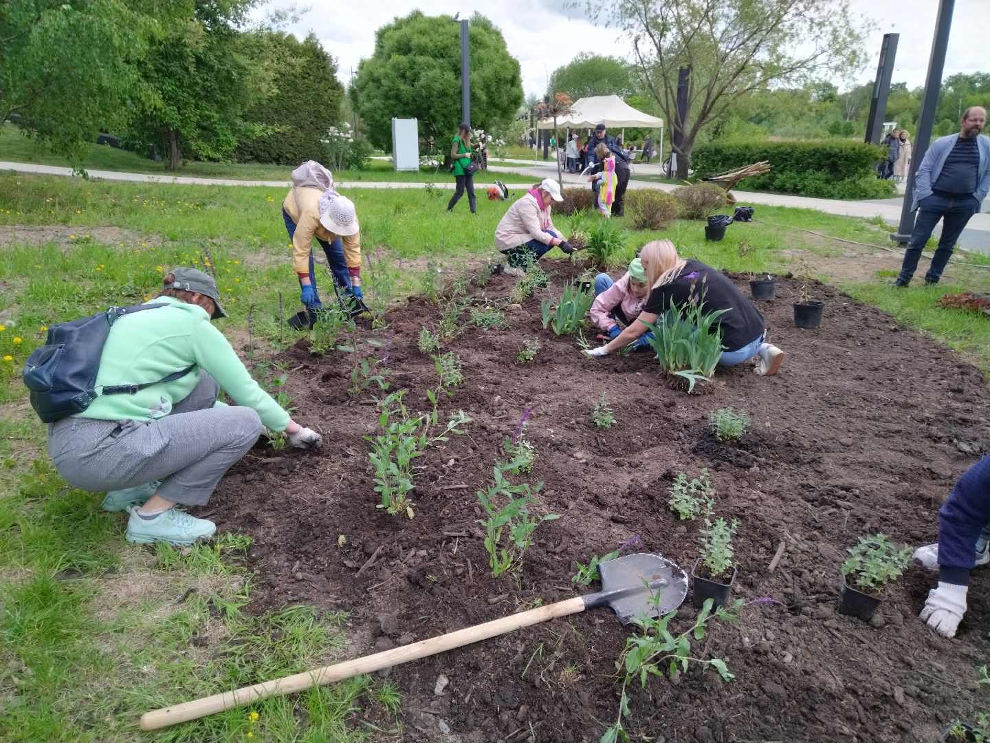 Благоустройство, парки, парковый ответ, Мытищи