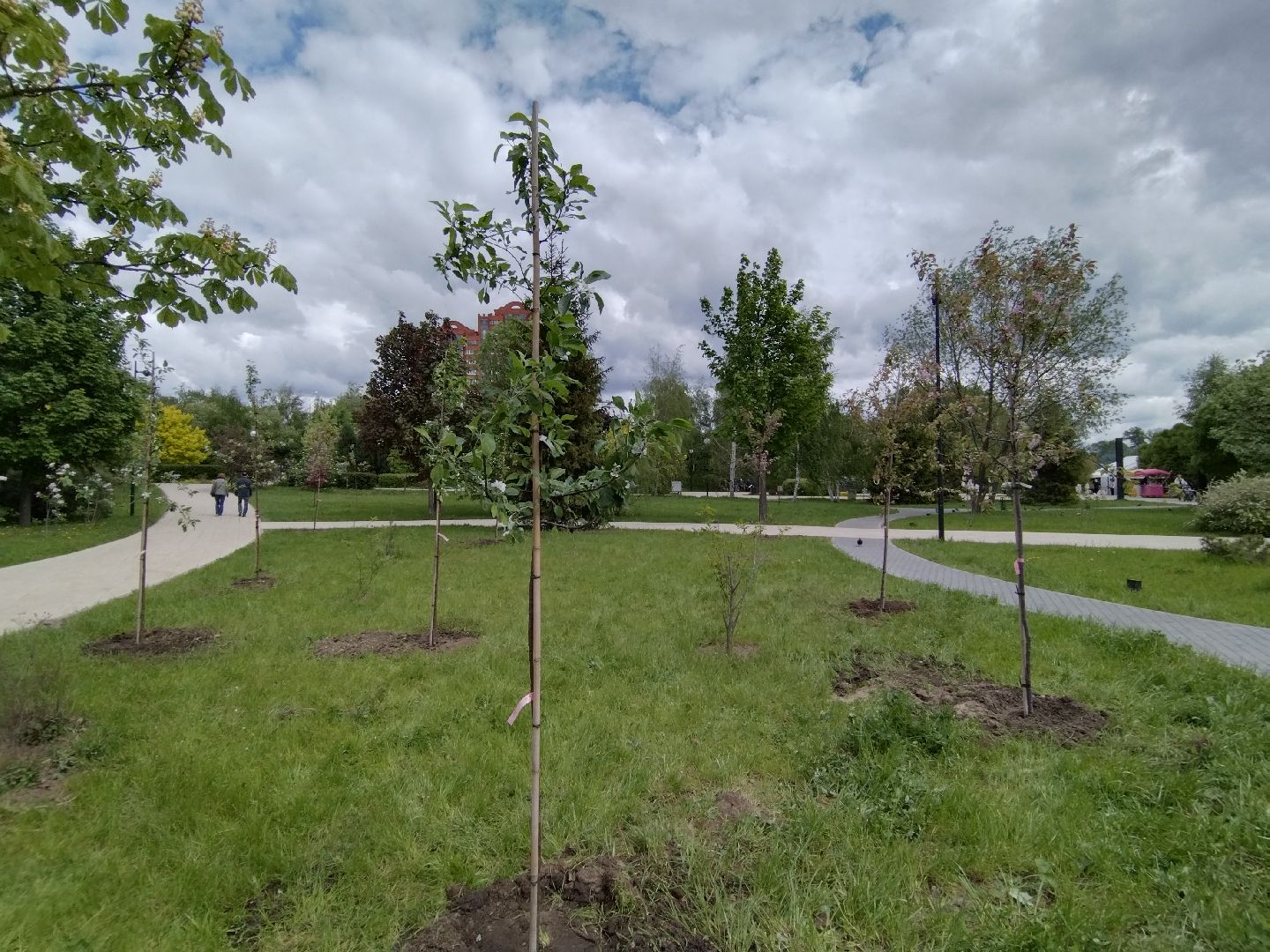 Благоустройство, парки, парковый ответ, Мытищи