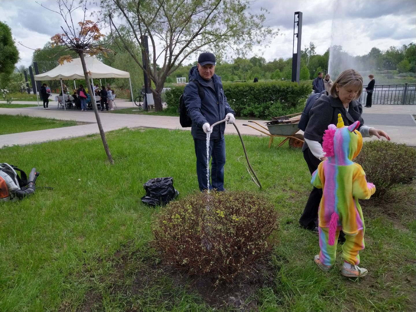 Благоустройство, парки, парковый ответ, Мытищи