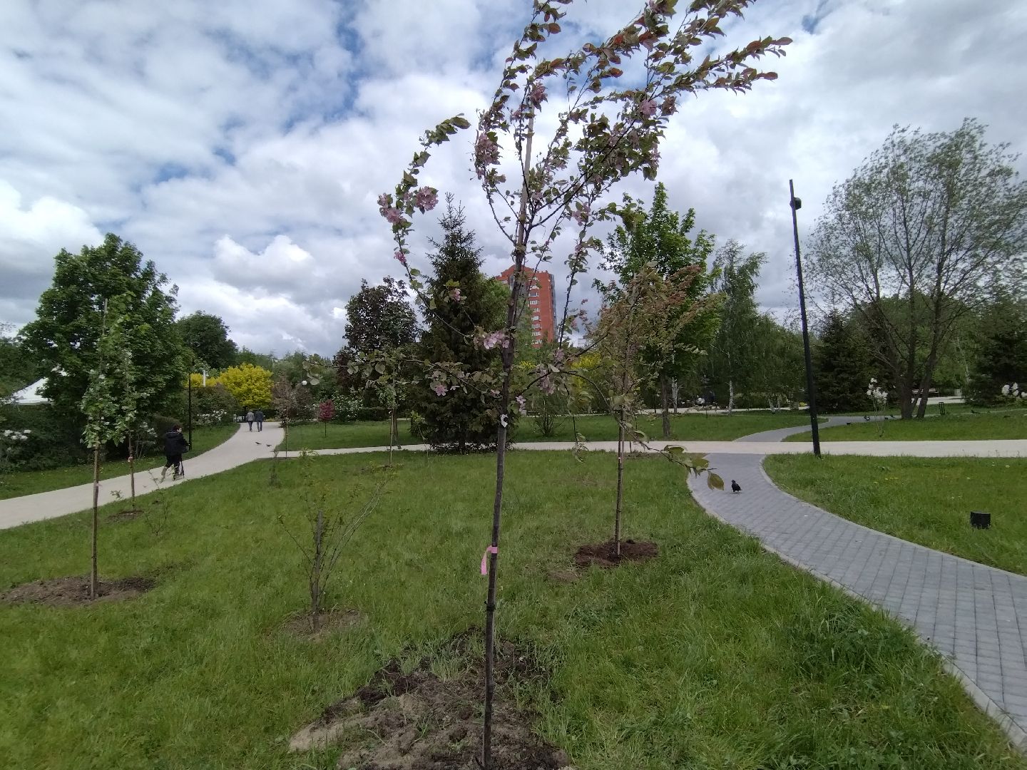 Благоустройство, парки, парковый ответ, Мытищи