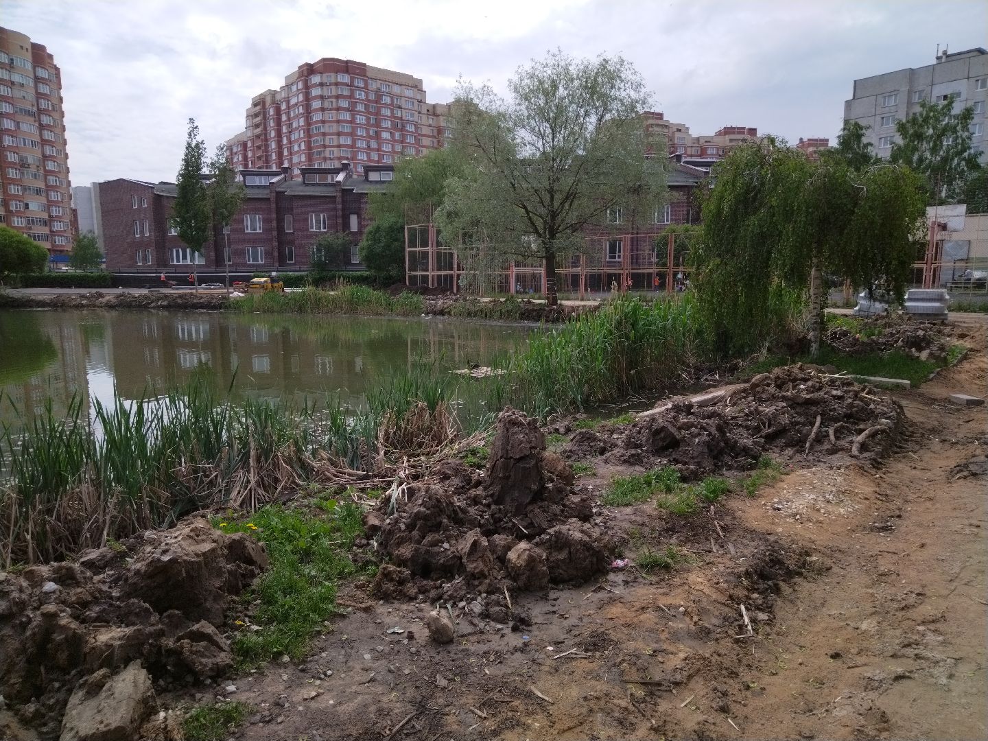 Благоустройство, народное голосование, Мытищи, Алексеевский пруд, Сукромка, Борисовка