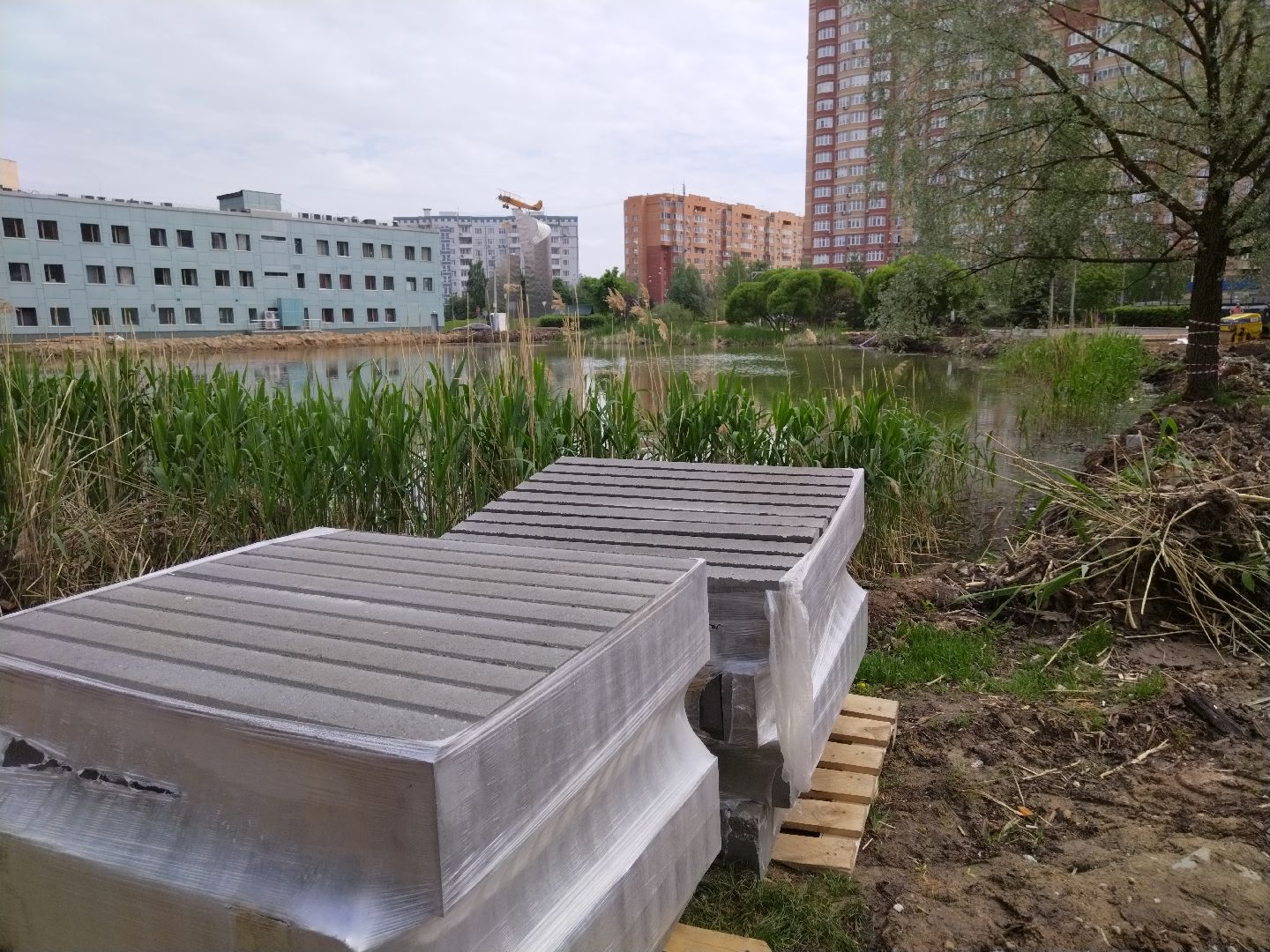 Благоустройство, народное голосование, Мытищи, Алексеевский пруд, Сукромка, Борисовка