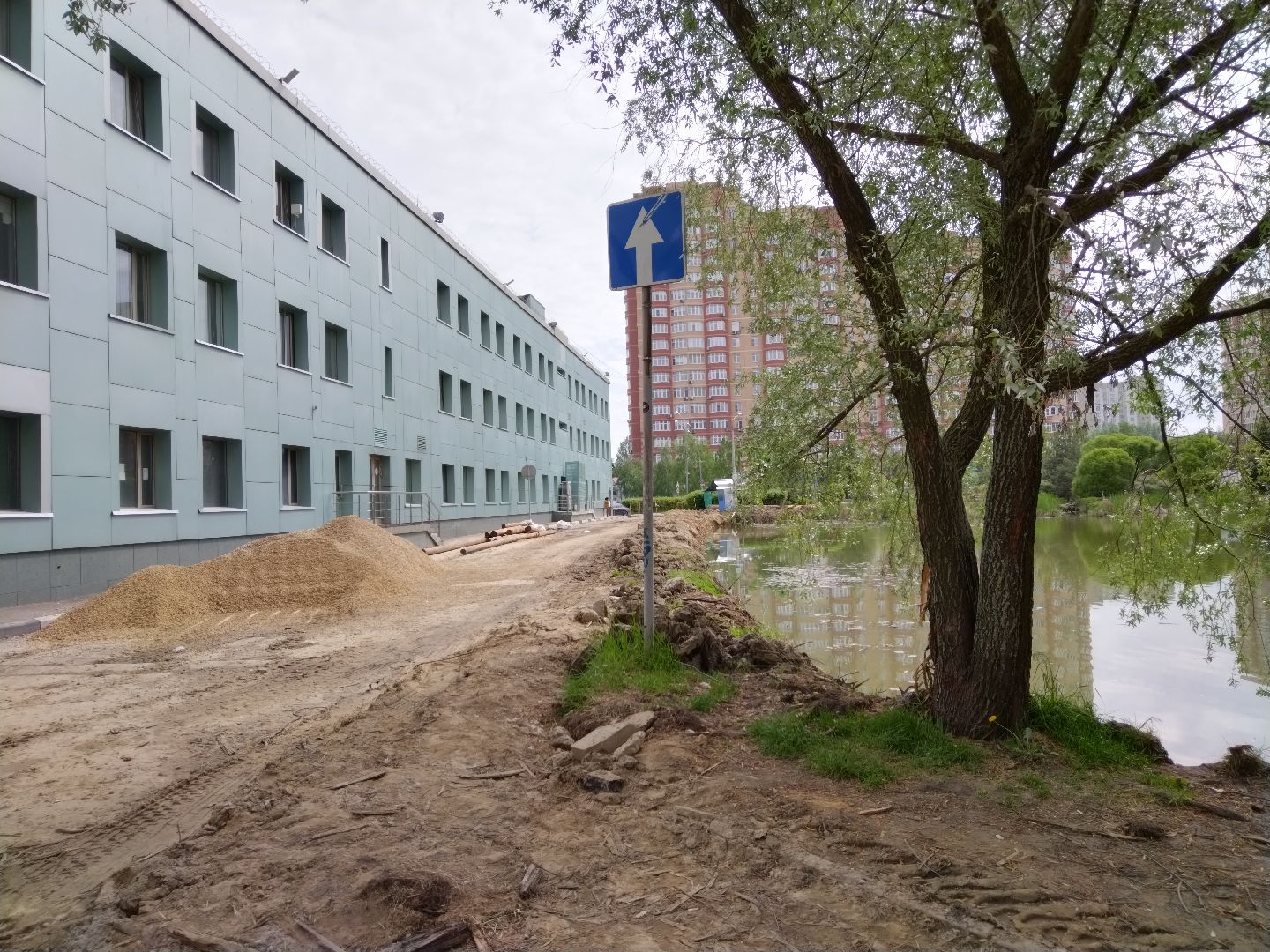 Благоустройство, народное голосование, Мытищи, Алексеевский пруд, Сукромка, Борисовка