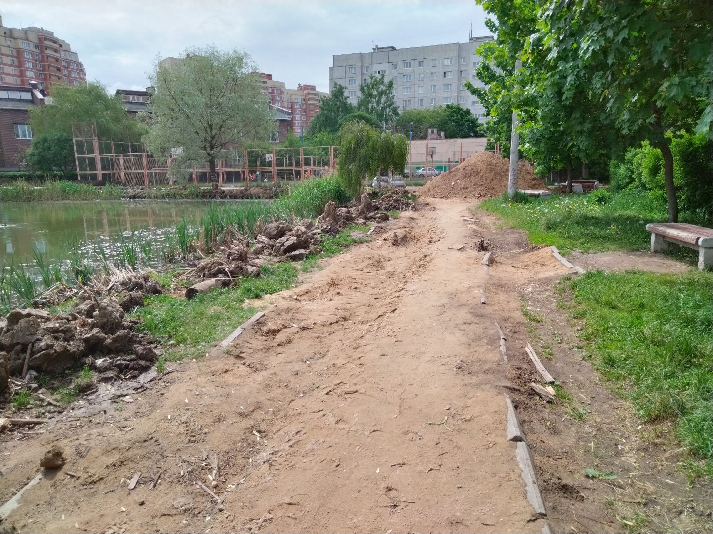 Благоустройство, народное голосование, Мытищи, Алексеевский пруд, Сукромка, Борисовка