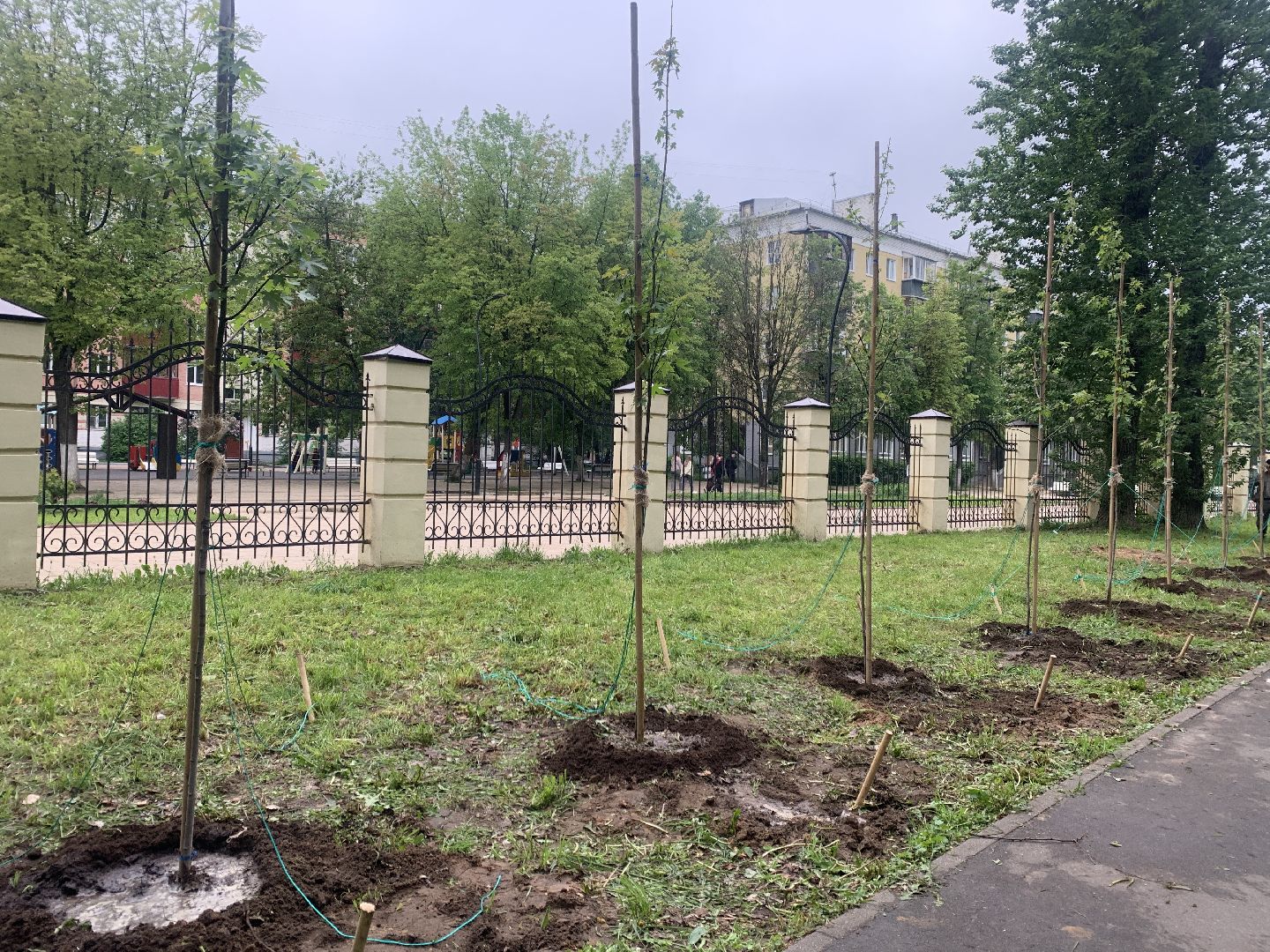 Балашиха, Подмосковье, спорт, аллея КХЛ, благоустройство, парки