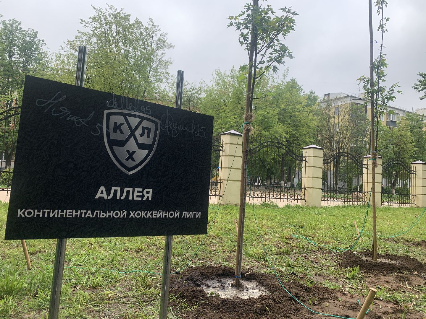 Балашиха, Подмосковье, спорт, аллея КХЛ, благоустройство, парки