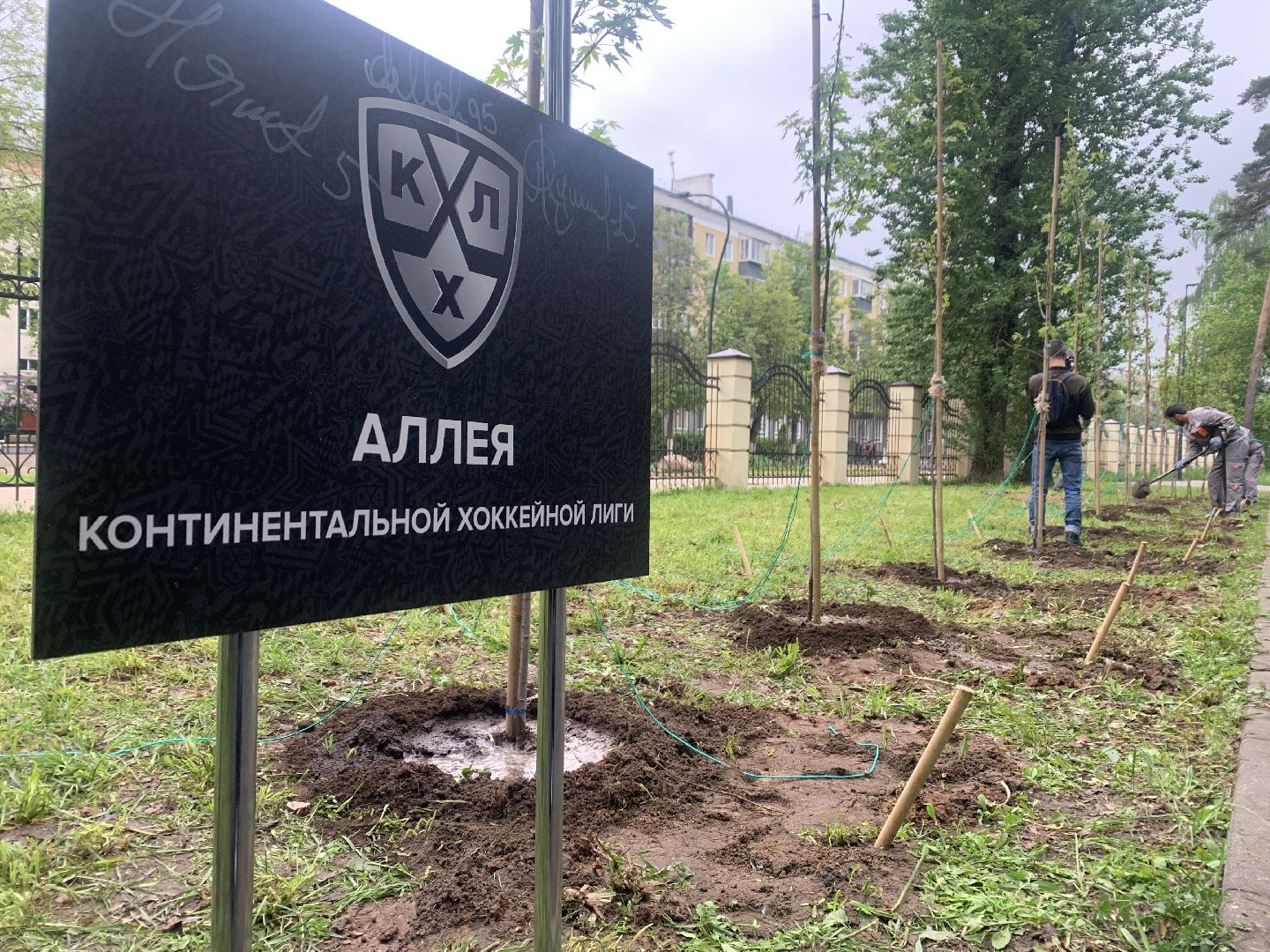 Балашиха, Подмосковье, спорт, аллея КХЛ, благоустройство, парки