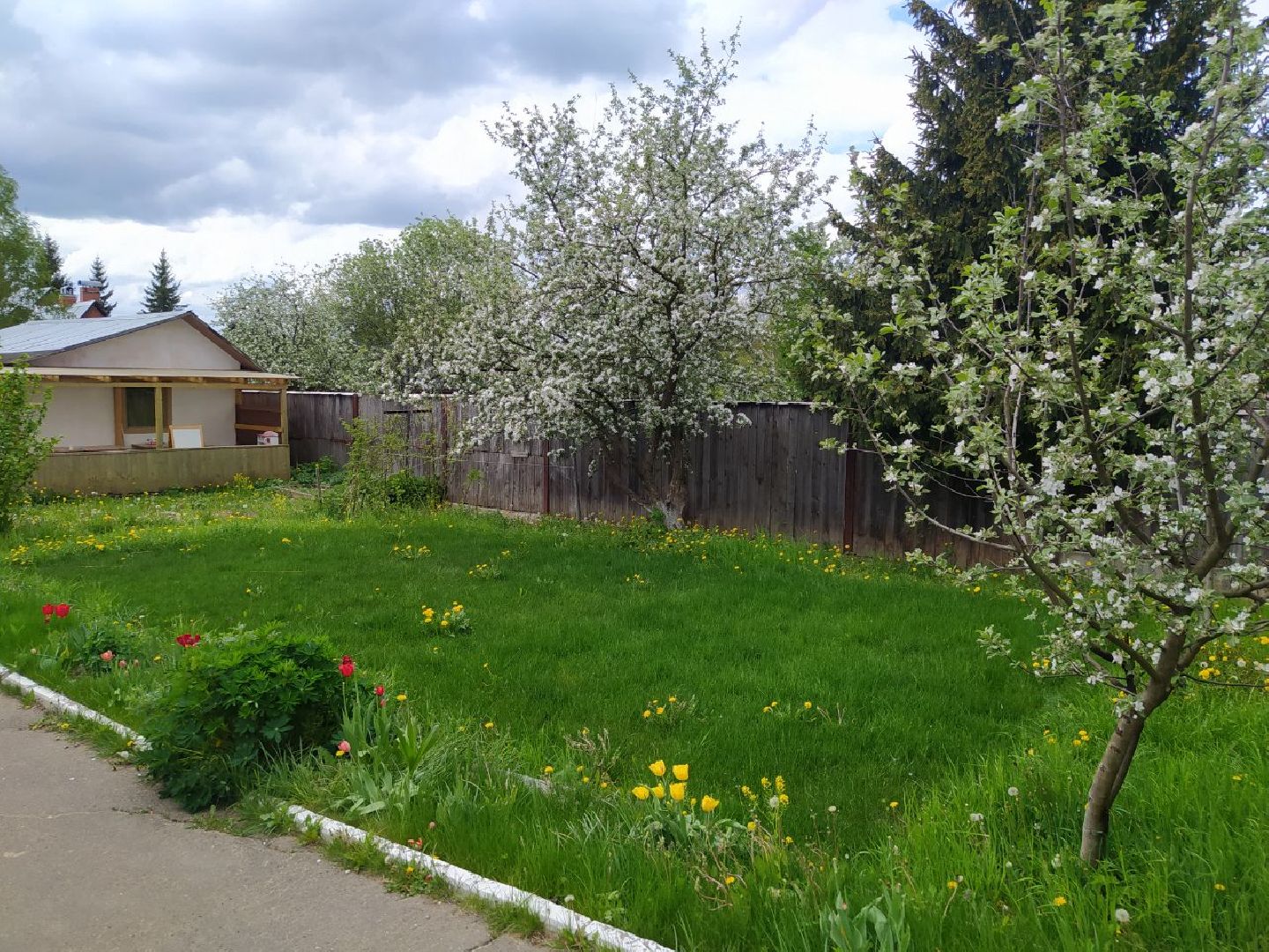 Дедовск, Монтессори, дети, лагерь