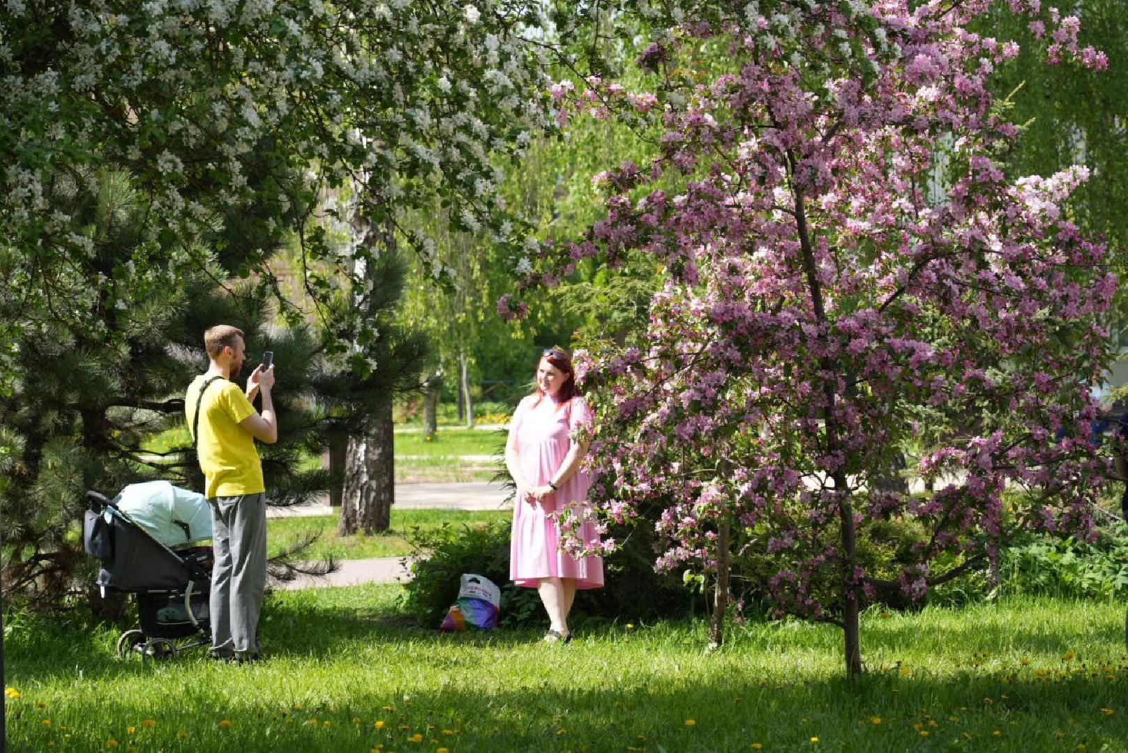 Сергиев Посад, Сергиево-Посадский городской округ, Красота, Природа, Весна, Общество, Жители, Фотосессия
