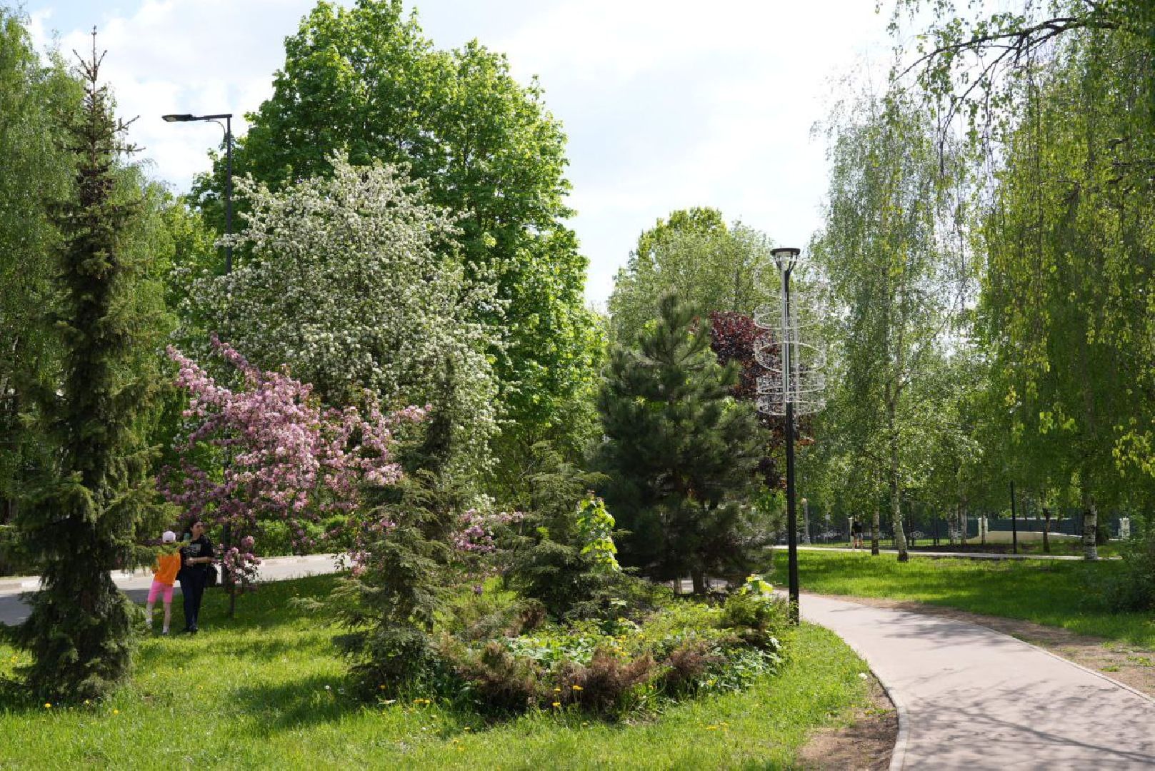 Сергиев Посад, Сергиево-Посадский городской округ, Красота, Природа, Весна, Общество, Жители, Фотосессия