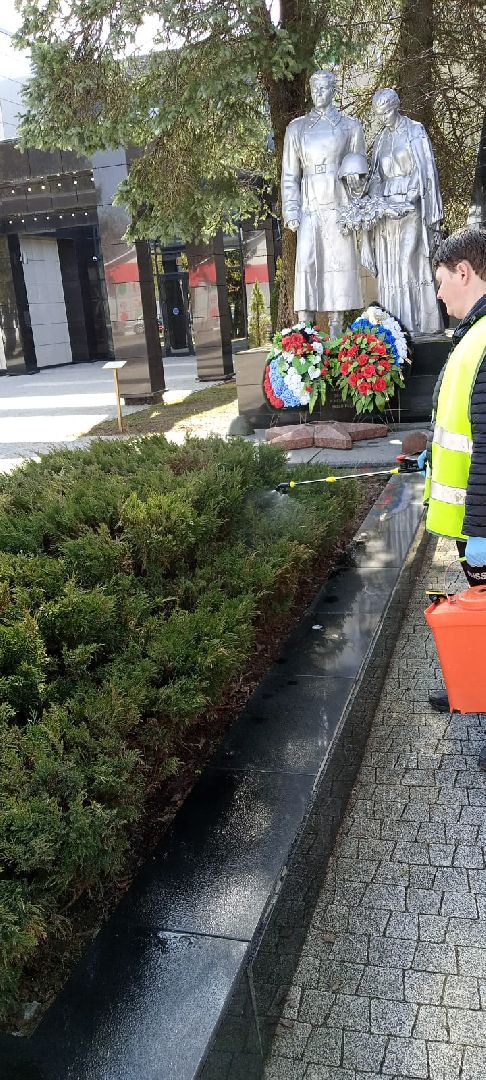 Шаховская, озеленение, благоустройство