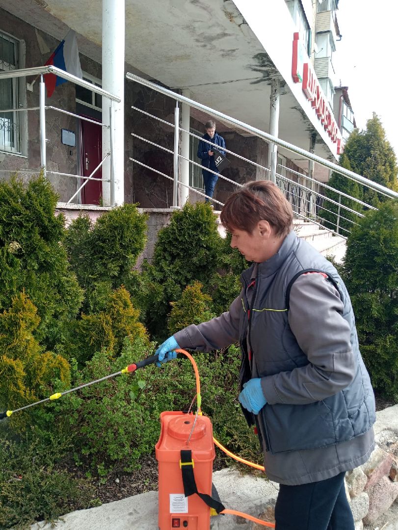 Шаховская, озеленение, благоустройство