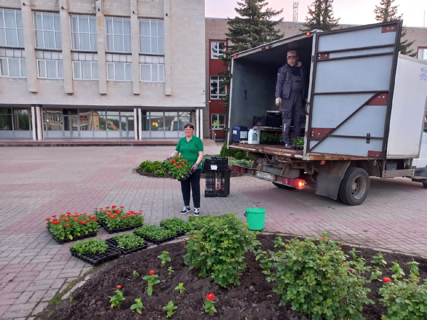 Шаховская, озеленение, благоустройство