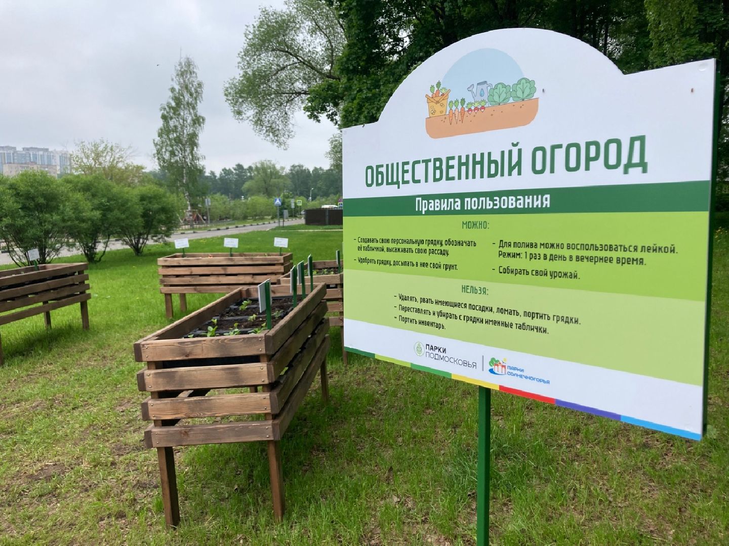 солнечногорск