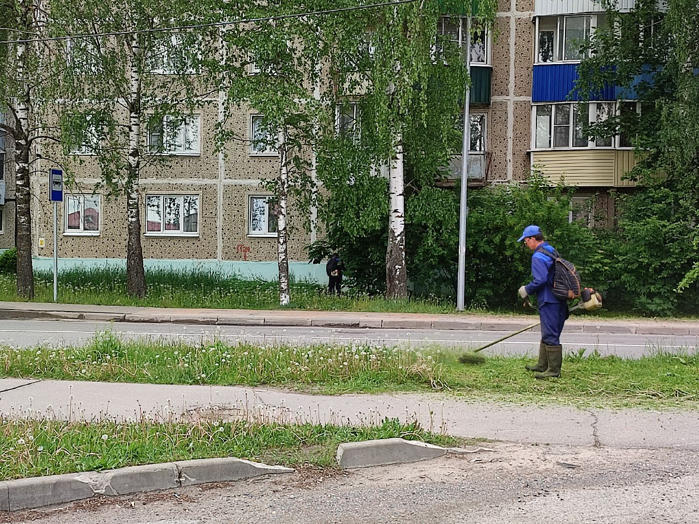 покос