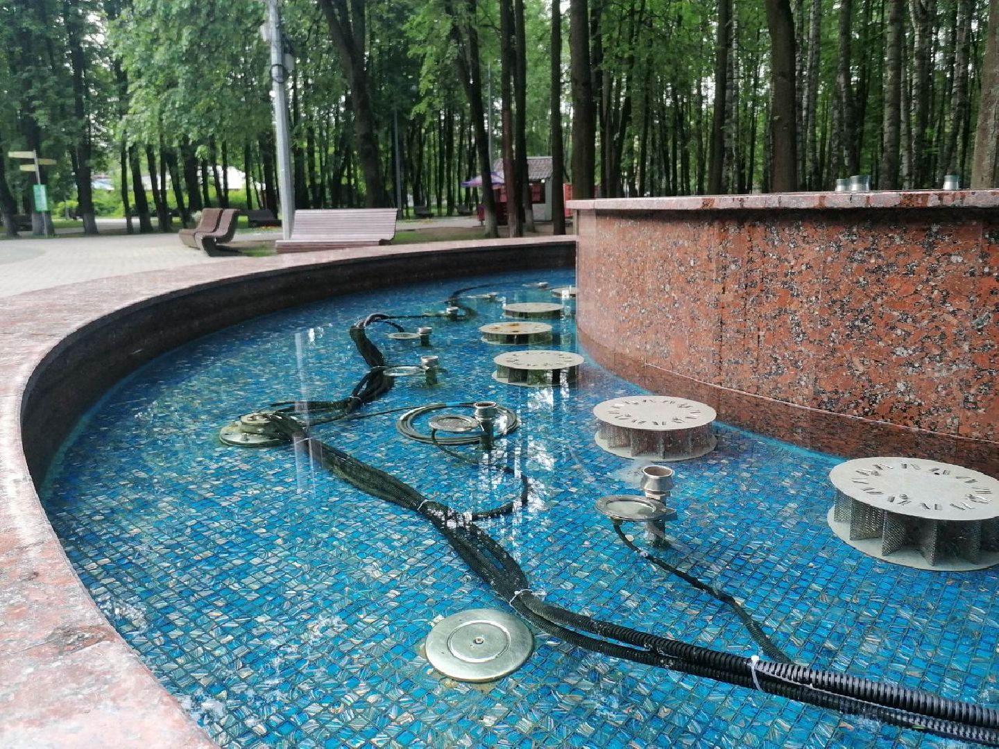 короле