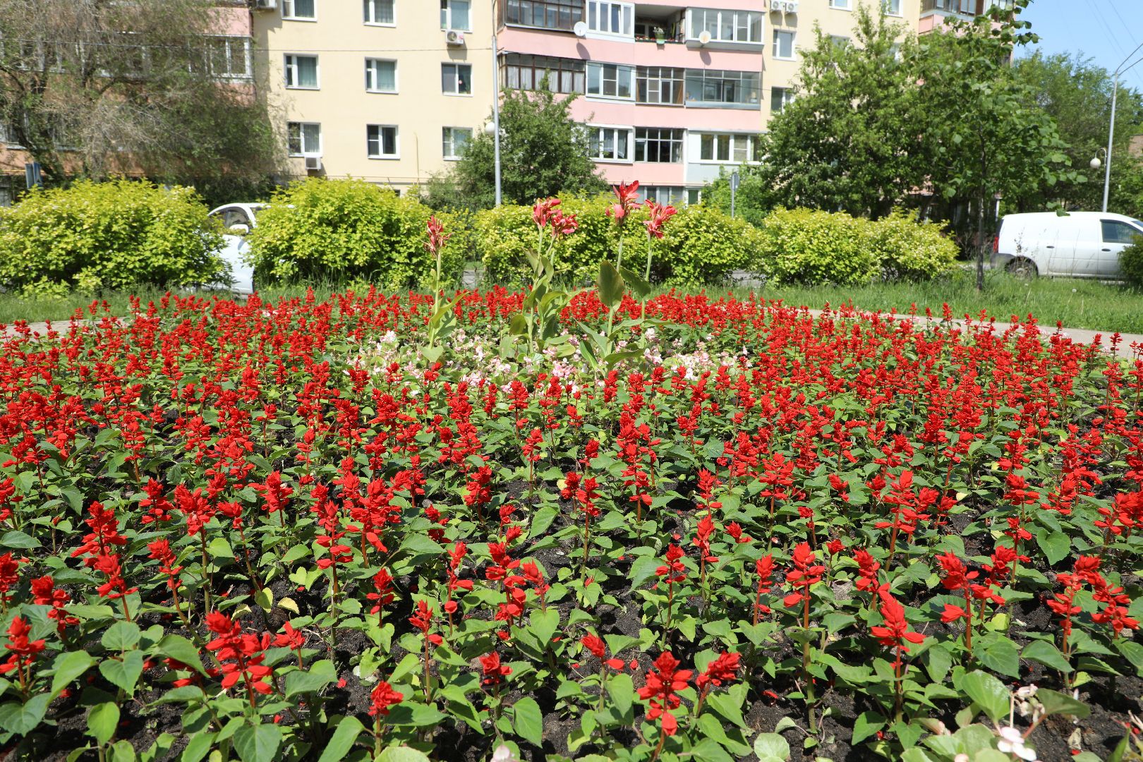 устройство