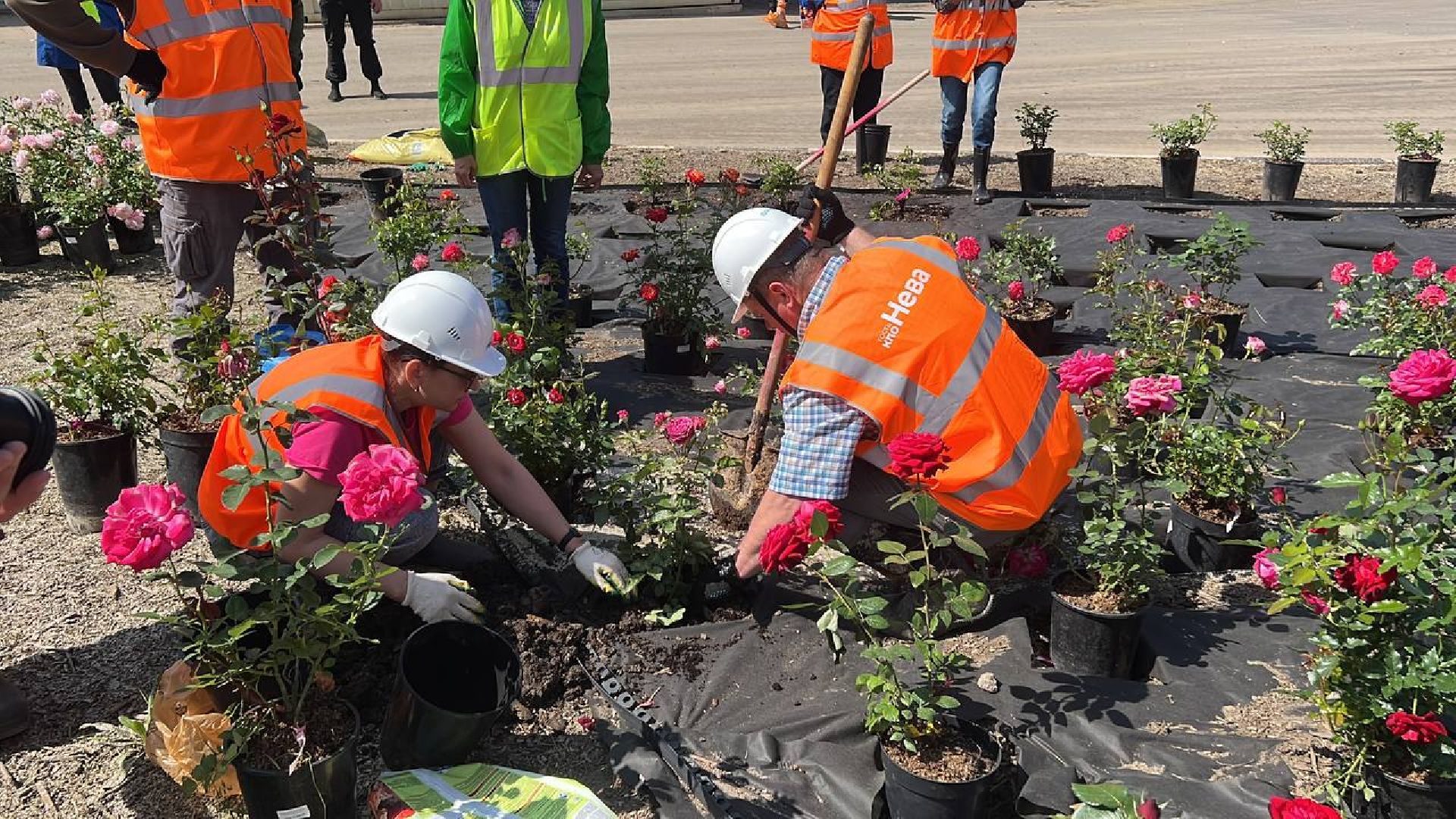 солнечногорск