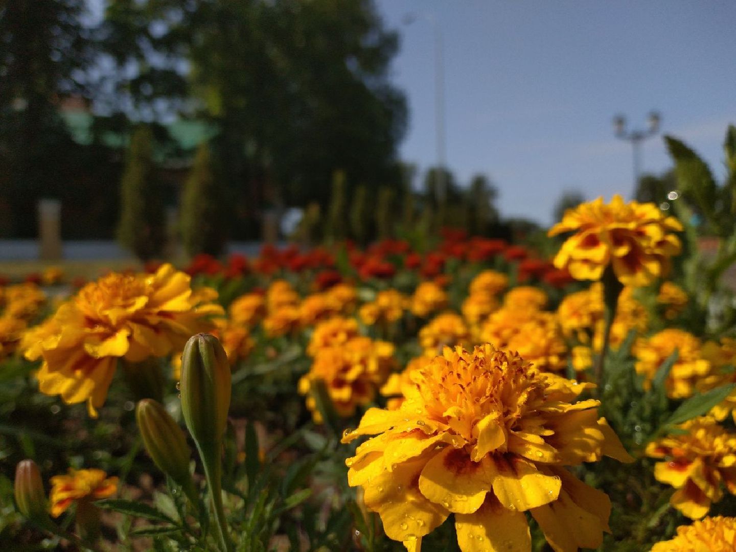 Благоустро