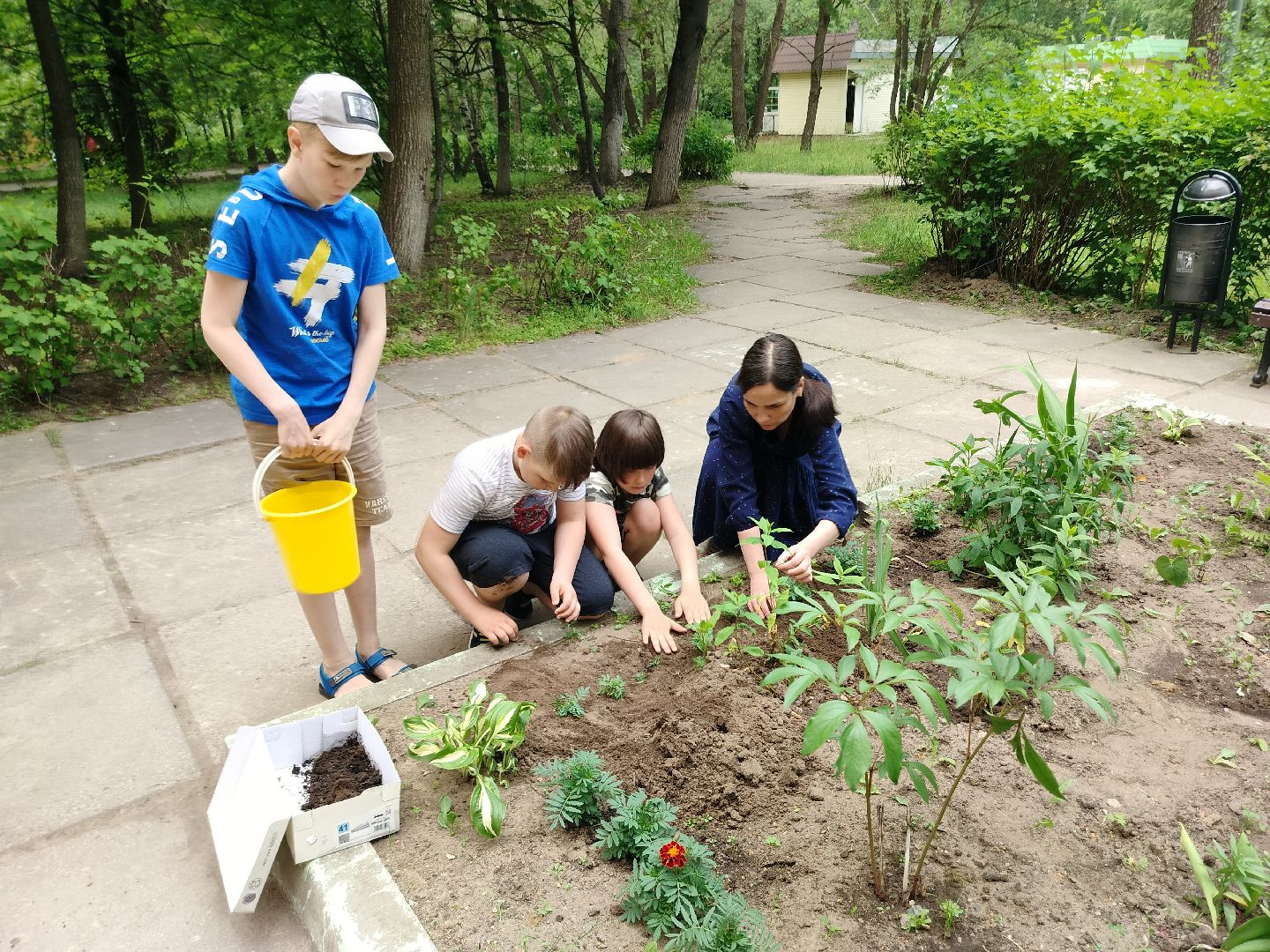 библиотека