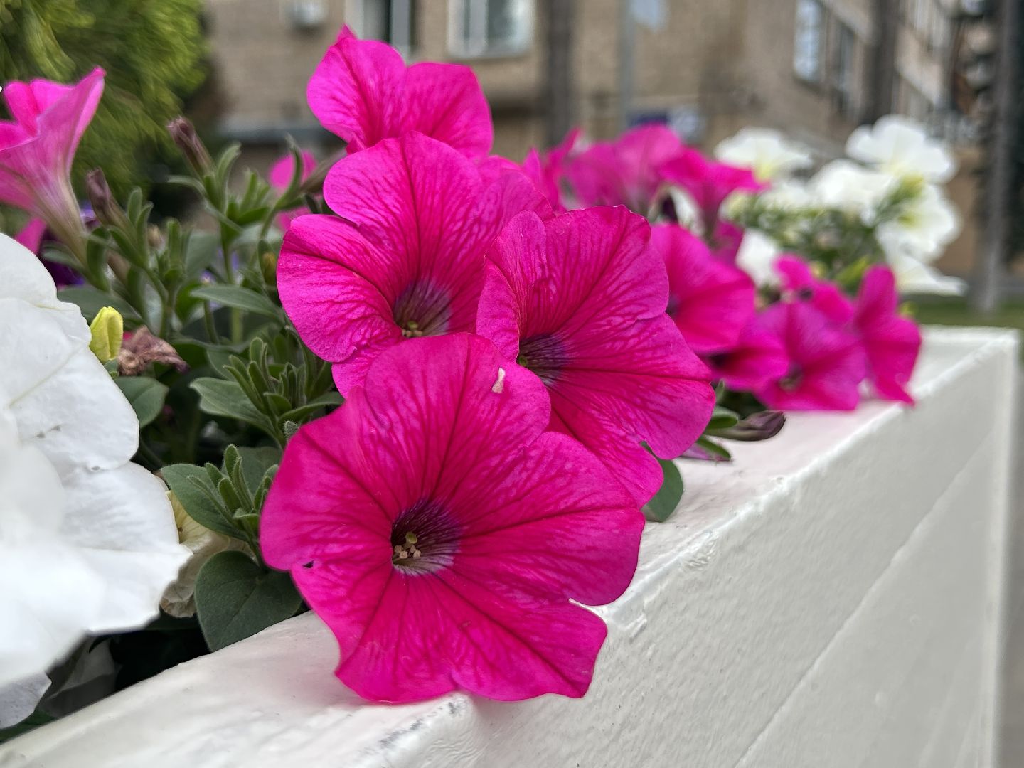 Благоустро