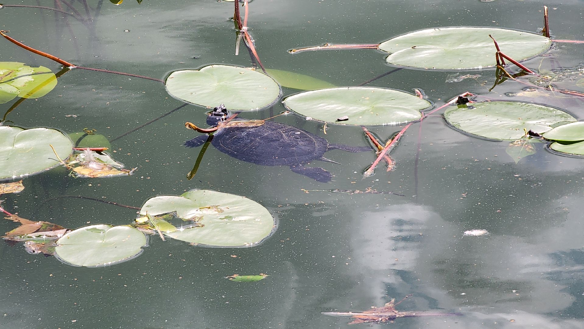 Благоустро