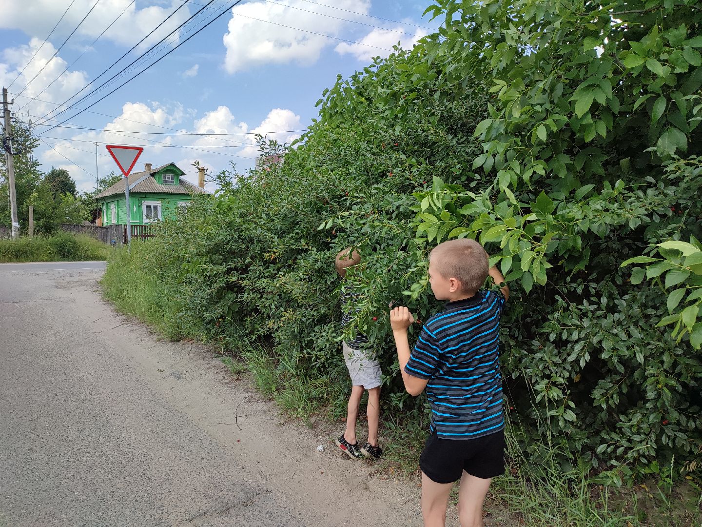 омс