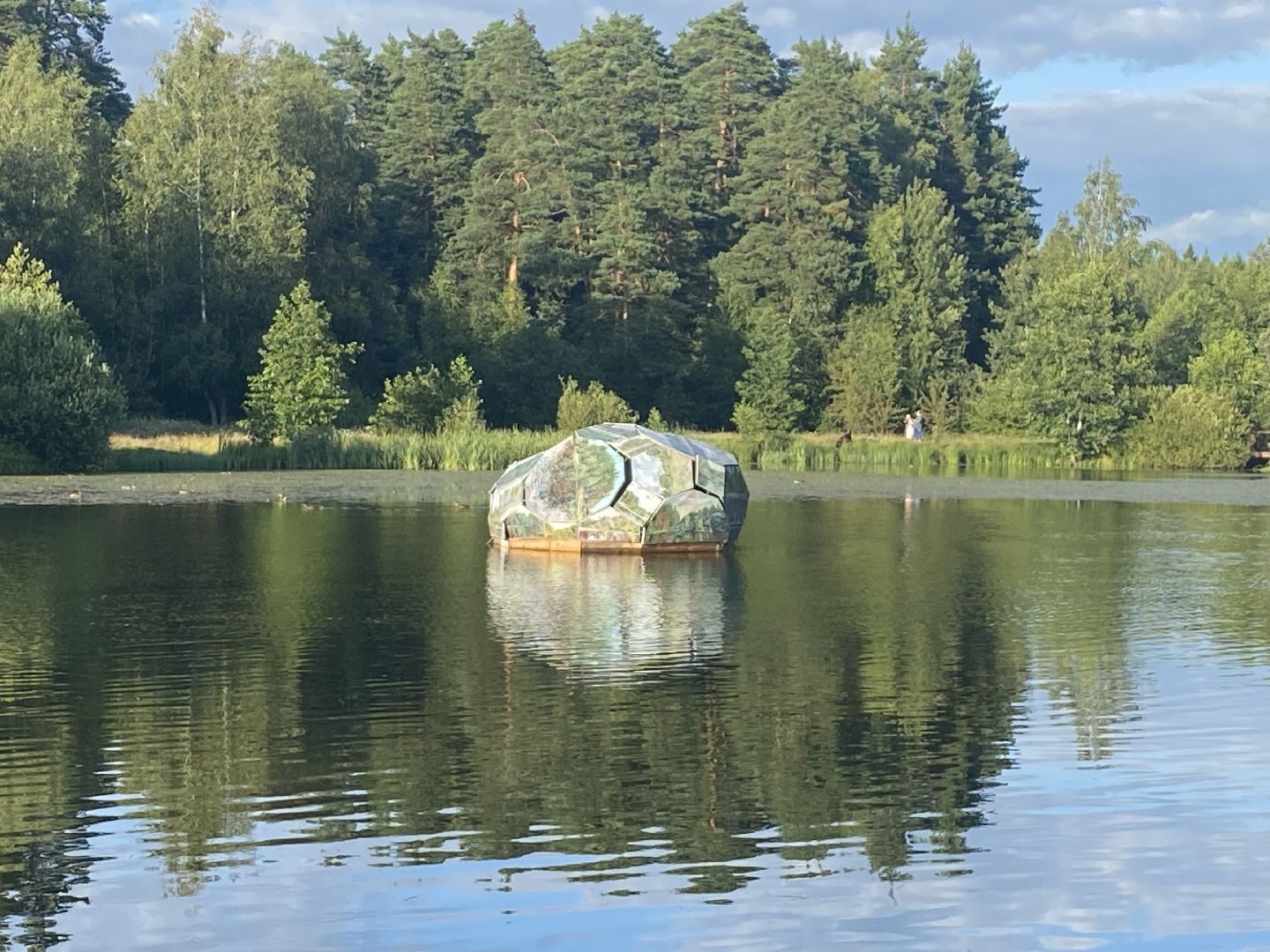 общество