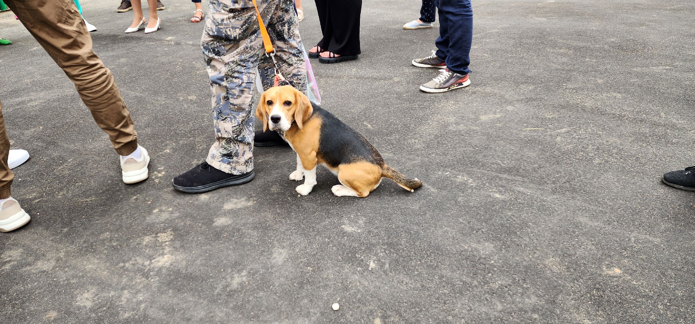 Благоустро