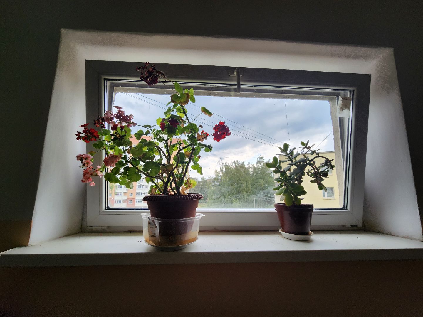 Благоустро